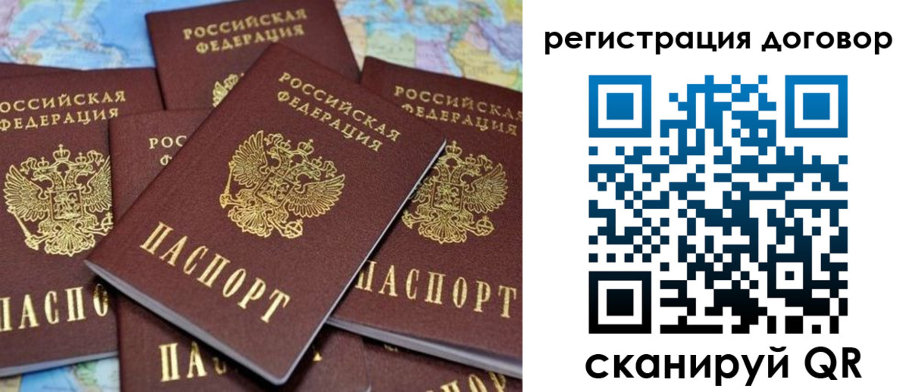 прописка гарантия в Снежногорске